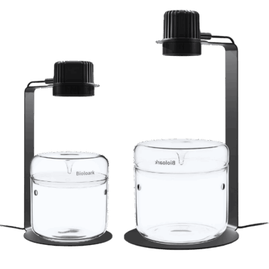 Die Wabikusa setz von Bioloark