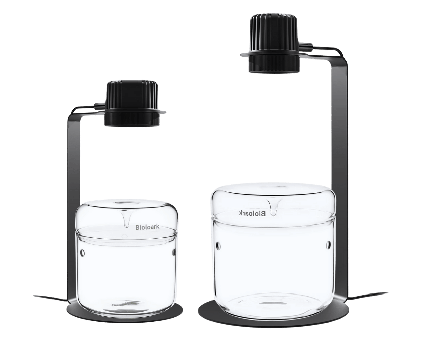 Die Wabikusa setz von Bioloark