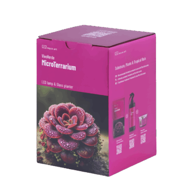 Vivoverde Micro Terrarium