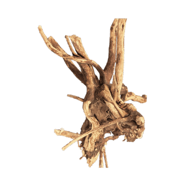 Spiderwood Nano