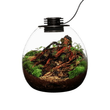 Bioloark Bio-Bottle Led PD170