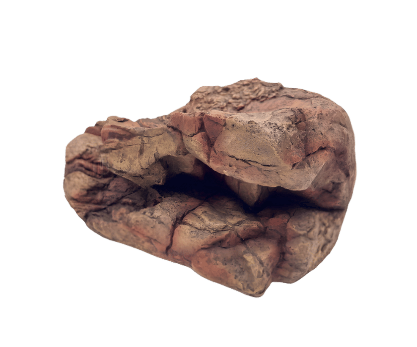 Rückwand oder Dekoelement fürs Terrarium