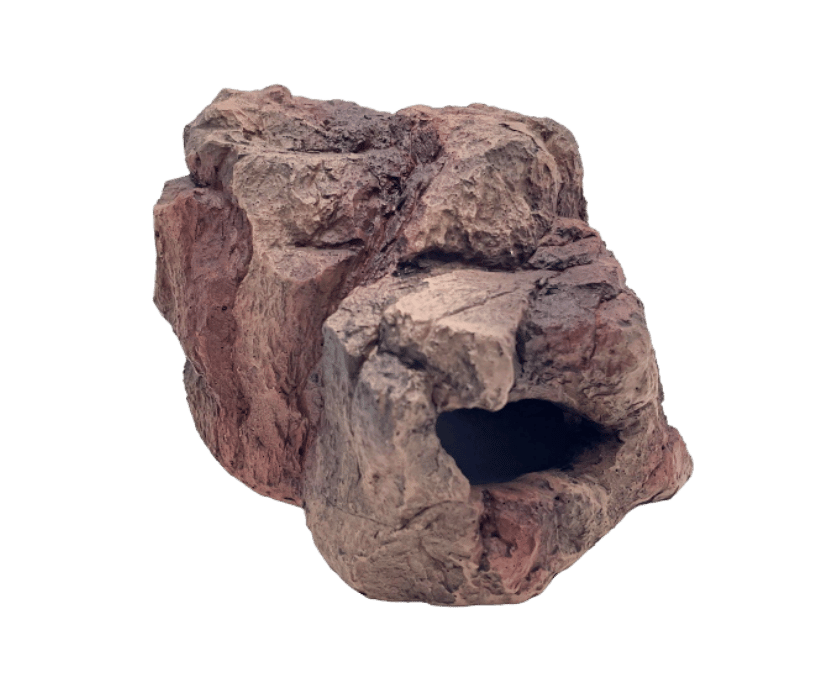 Ein tolles Dekoelement & ein tolles versteck für Terrarien