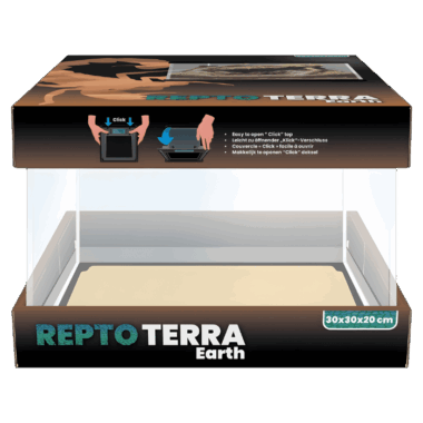 Tolles Terrarium für Käfer und Asseln