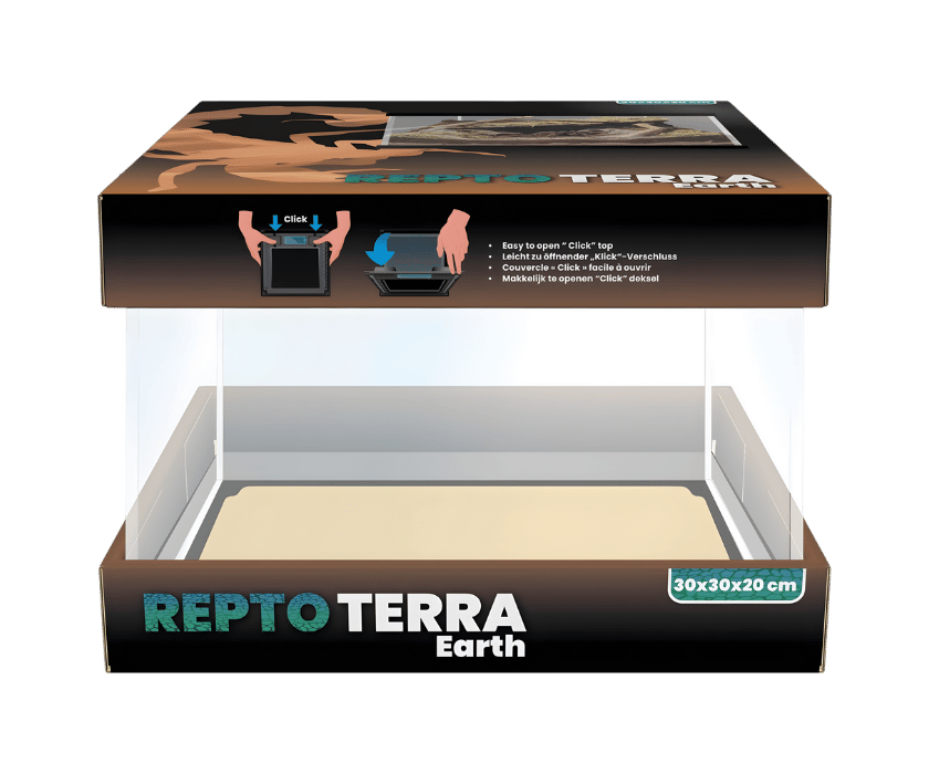 Tolles Terrarium für Käfer und Asseln