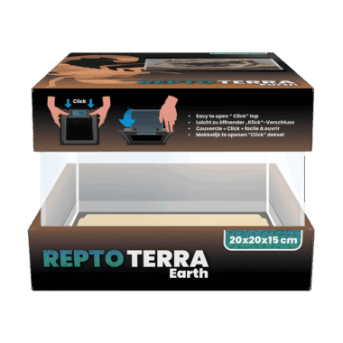 Tolles Asselterrarium