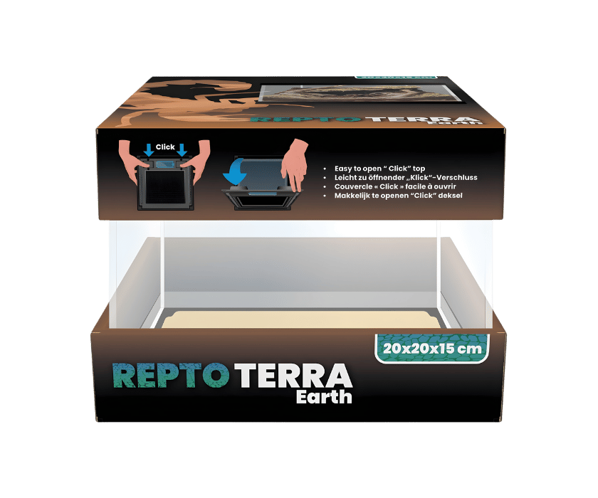 Tolles Asselterrarium