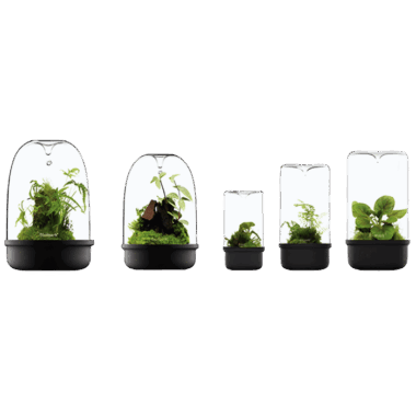 Die neuen Luji Cups in verschiedenen AUsführungen von Bioloark