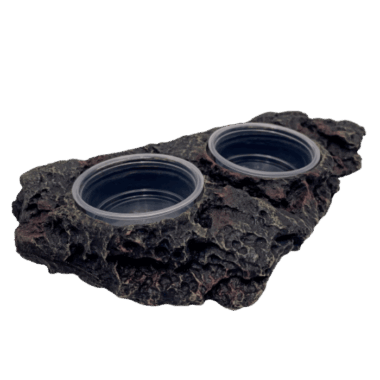 Futterplatz für Geckos