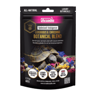 Der neue Zusatz für Landschildkröten