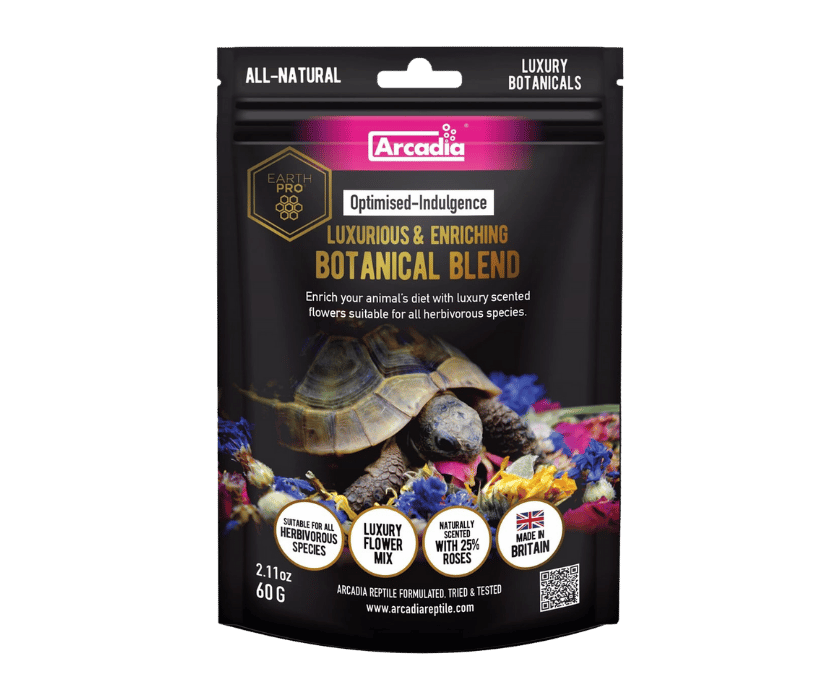 Der neue Zusatz für Landschildkröten