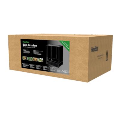 Terrarium für Kronengecko und Co