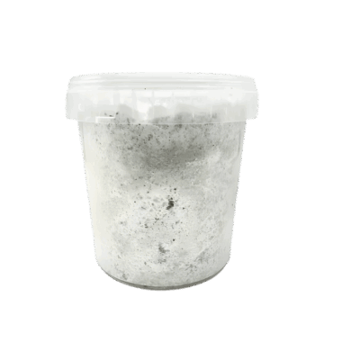 Kinshi für die Käferzucht