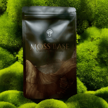 Moss Base von ShroomRoom