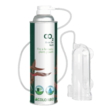 Co2 Starterkit, mit billigen Nachfüllflaschen für kleine Aquarien