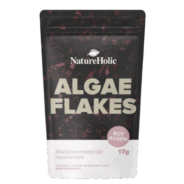 Algenflakes