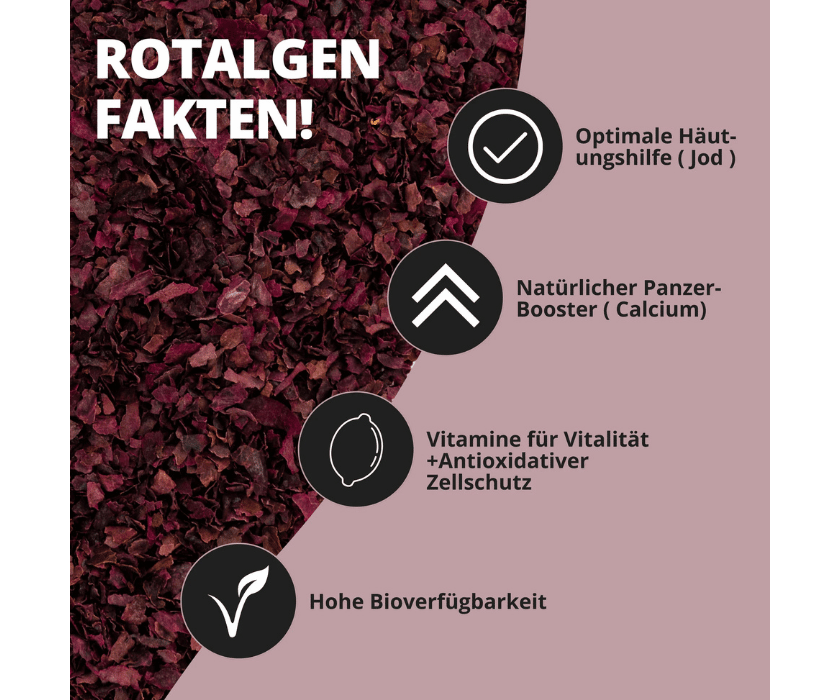 Algae Flakes1.1