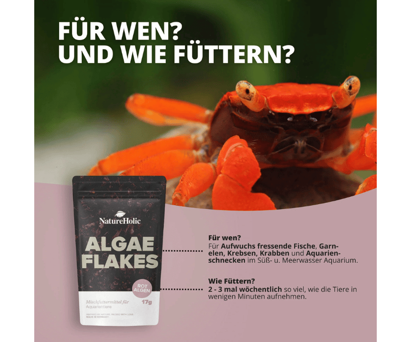 Algae Flakes1.3