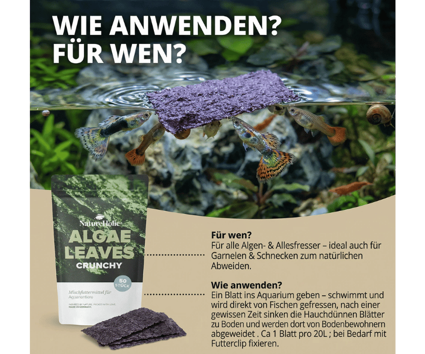 Algae Leaves1.2