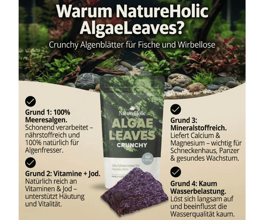 Algae Leaves1.3