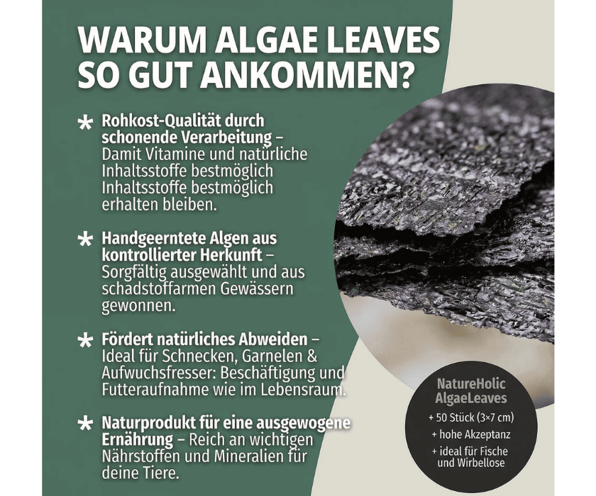 Algae Leaves1.4