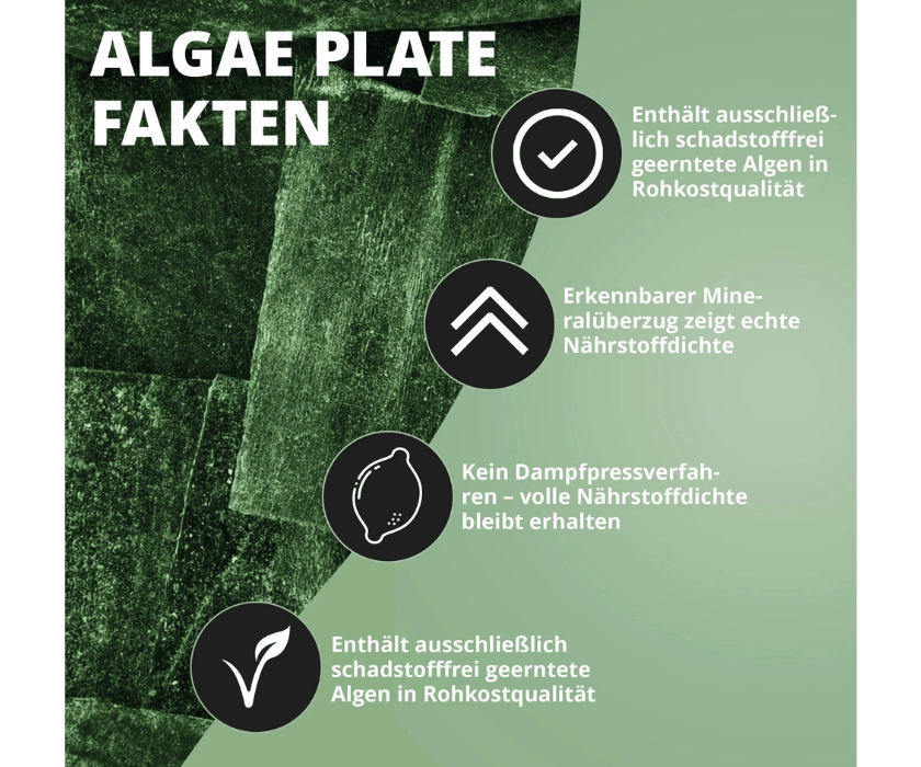 Algae Plate1.4