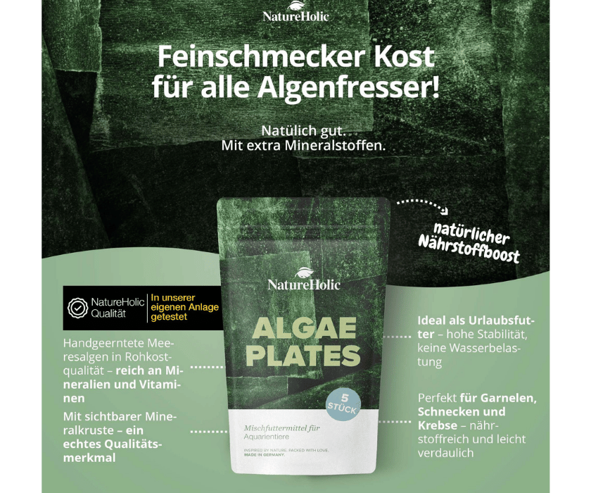Algae Plate1