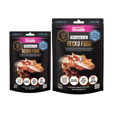 Das neue Lychee Feige Geckofood von Arcadia