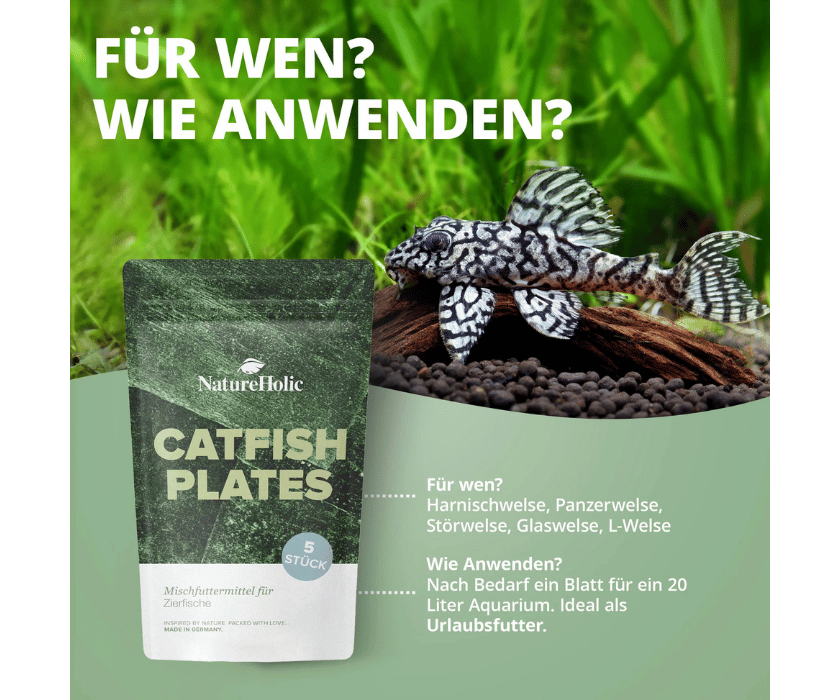 Catfish plates1.2