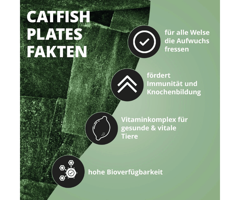Catfish plates1.3
