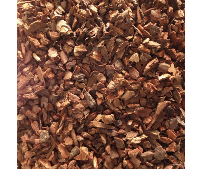 Forest bark1