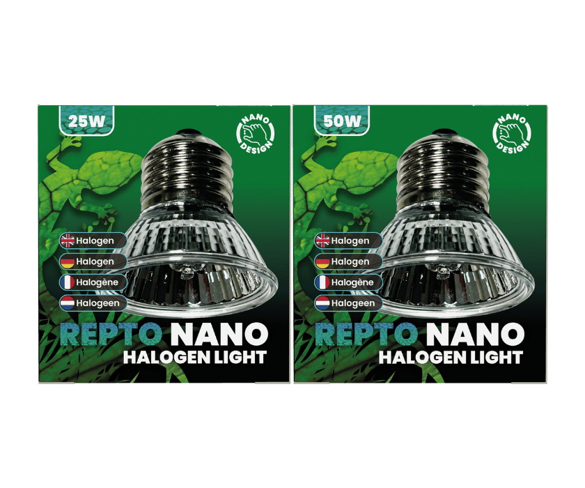 Halogen Lamp1