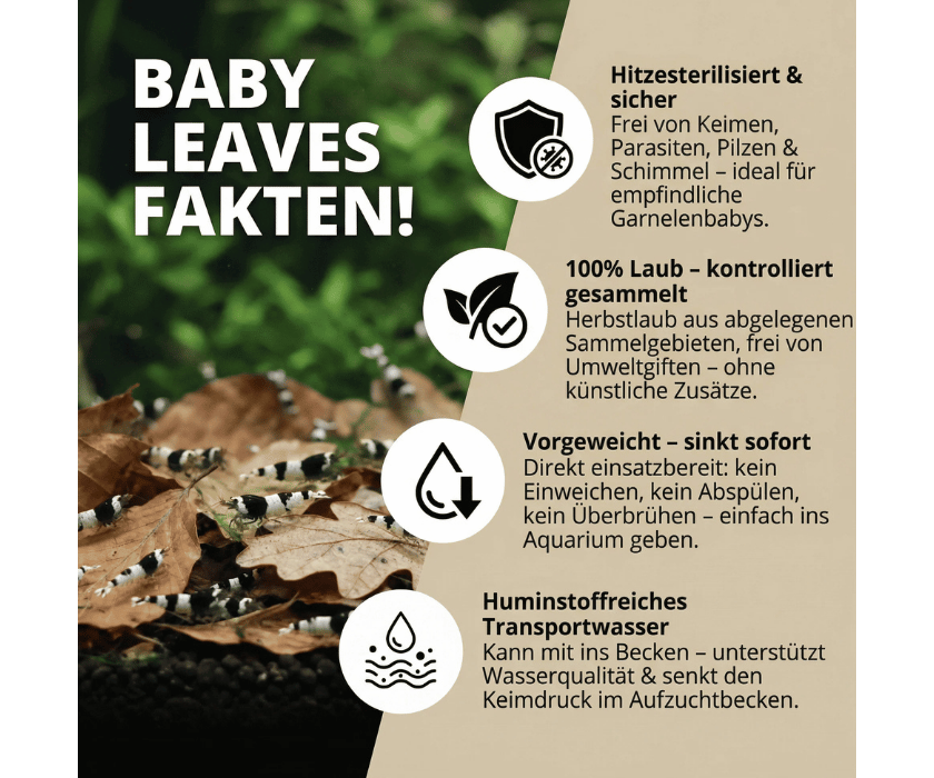 Insta Laub bb1.3