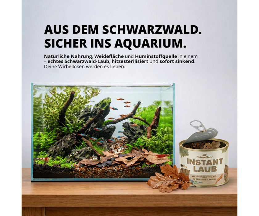 Insta Laub1.1