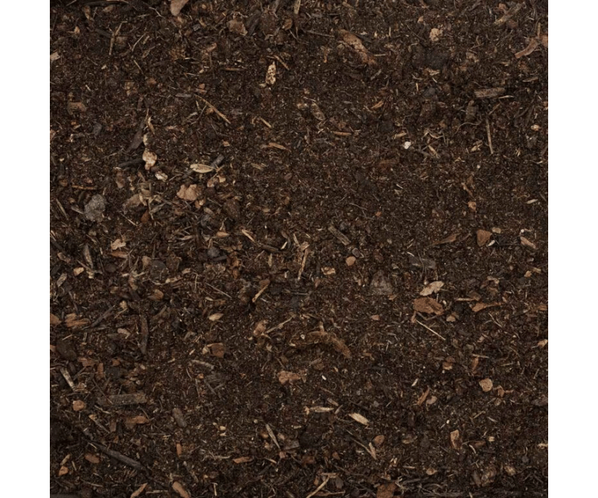 Jungle Bio3