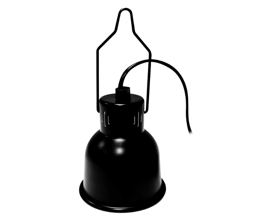Nano DOme2