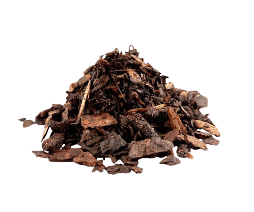 Orchid Bark2