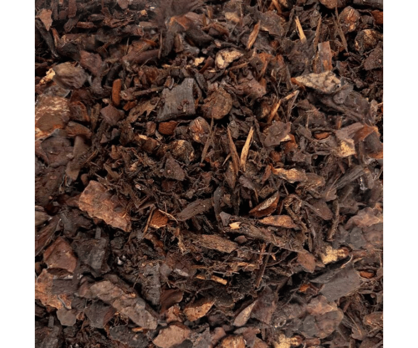 Orchid Bark3