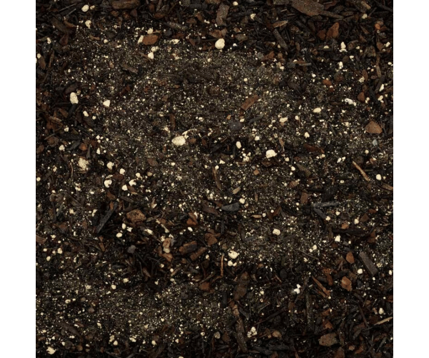 Snake Bedding 3