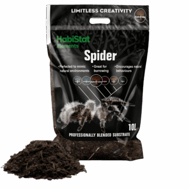 Spiderbedding