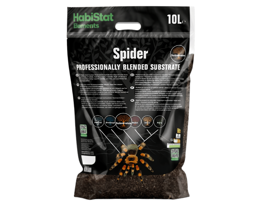 Spiderbedding1