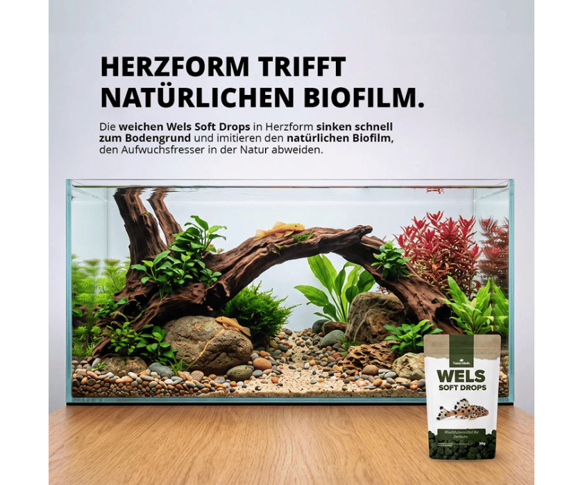 Welsdrops 1