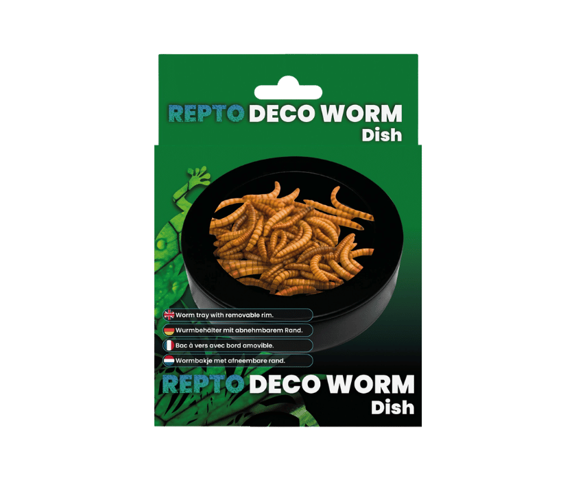 Wormdish1
